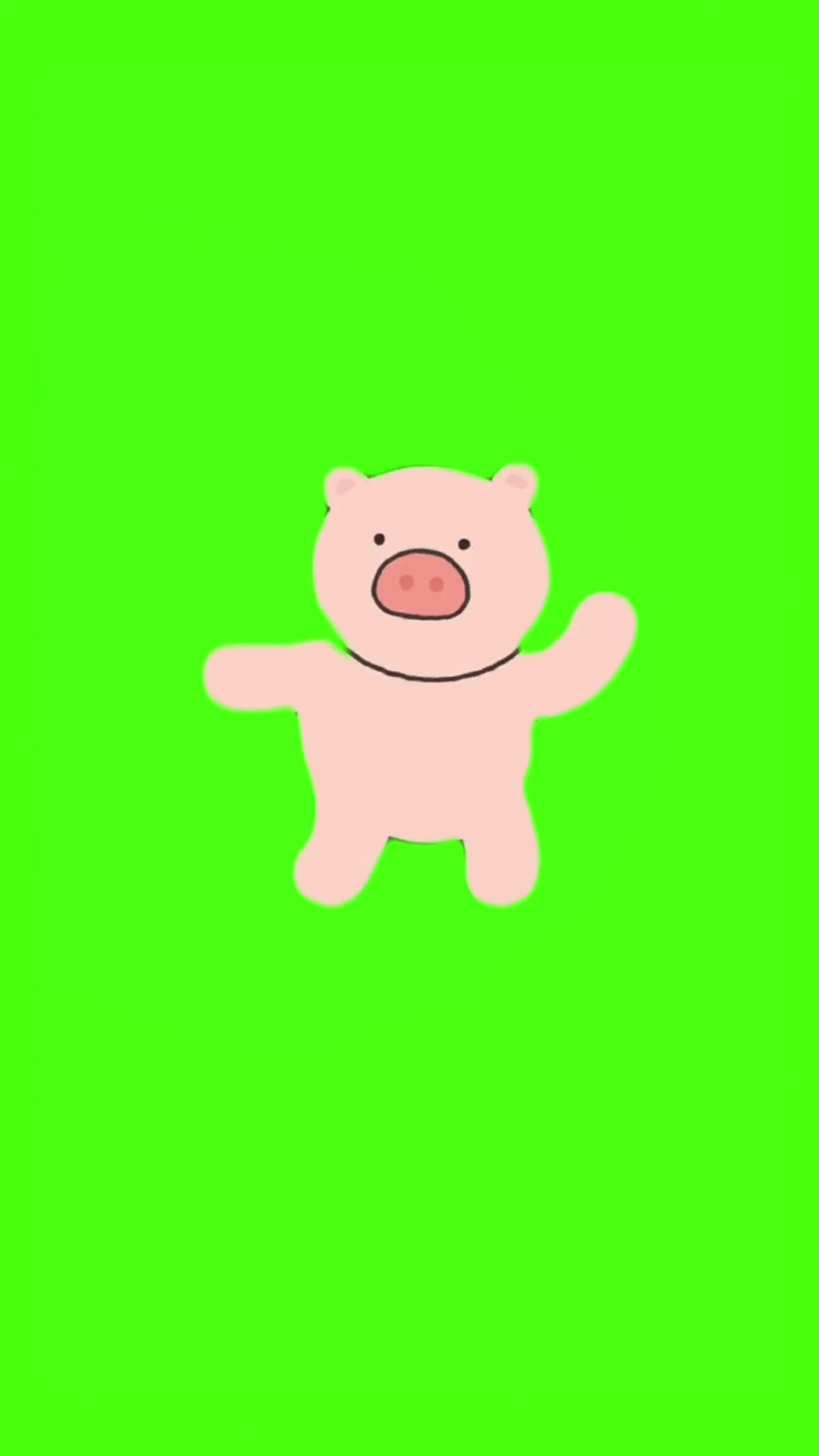 小猪本草纲目14秒 绿幕直播特效视频