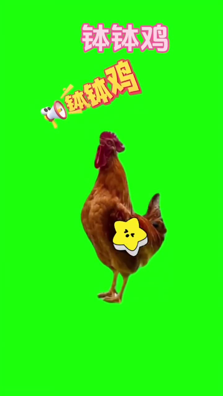 钵钵鸡绿幕成品 2 绿幕直播特效视频