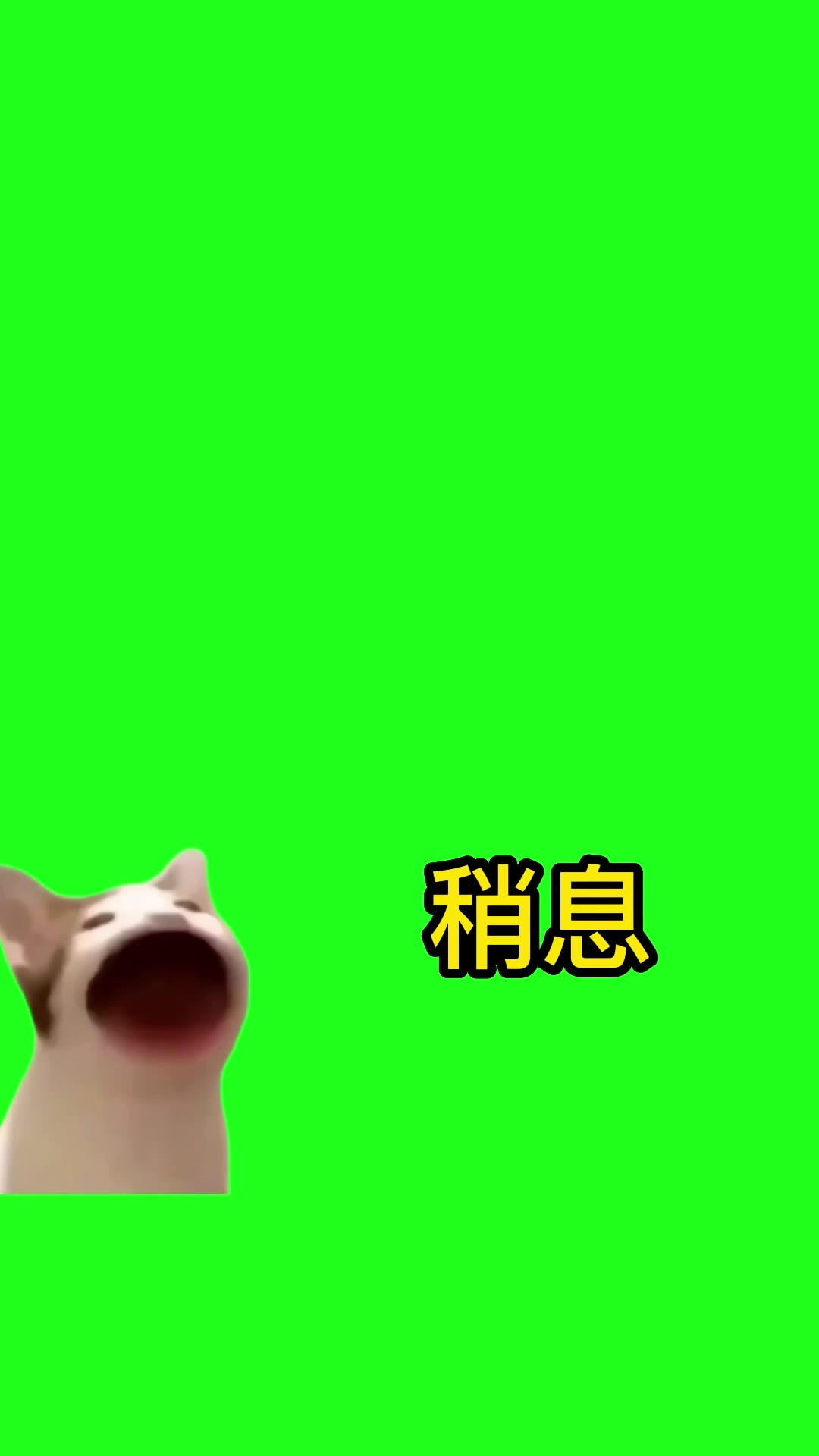 12月9日稍息-无音乐成品1 绿幕直播特效视频
