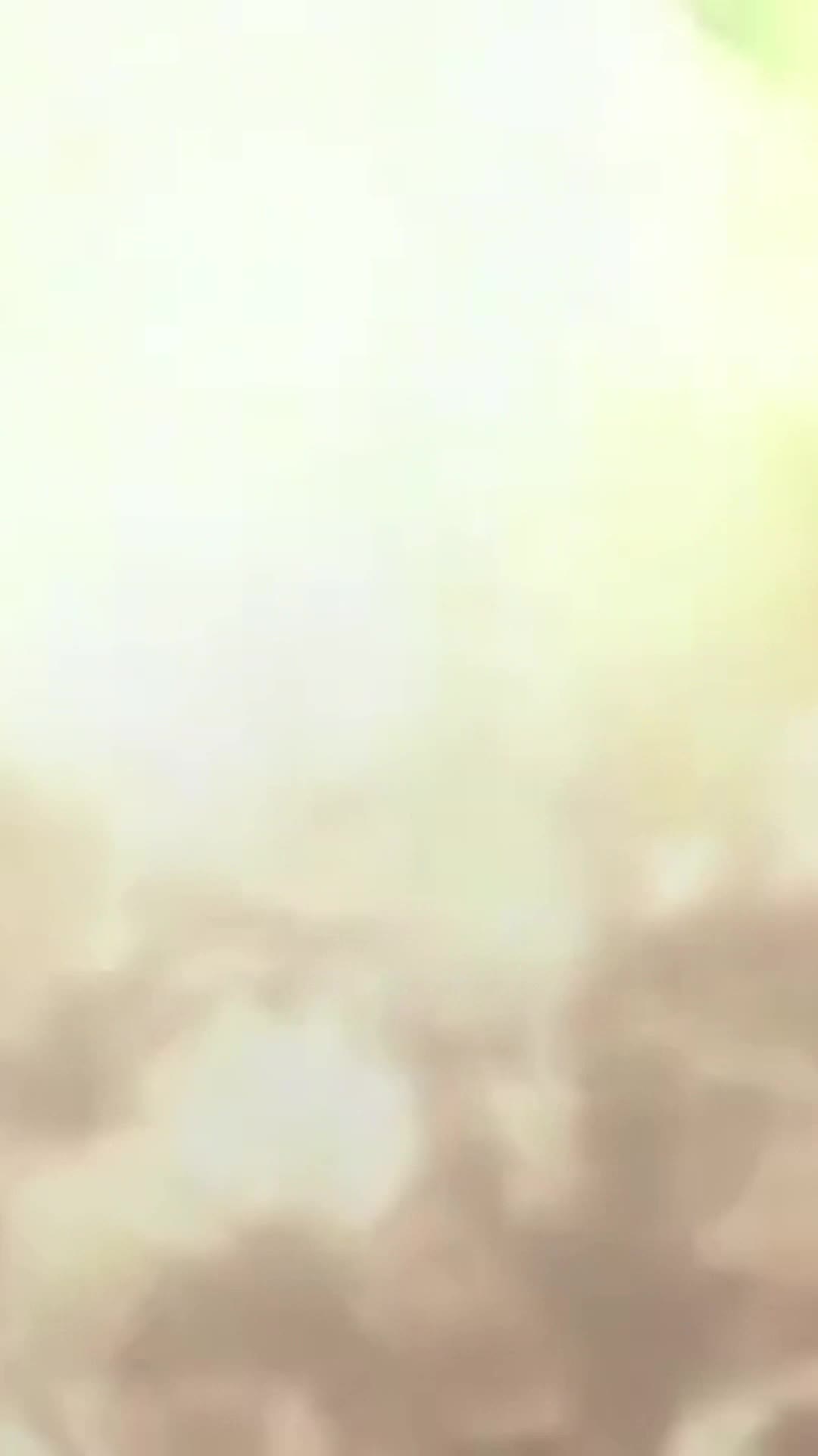 长城炮导弹5秒01 绿幕直播特效视频