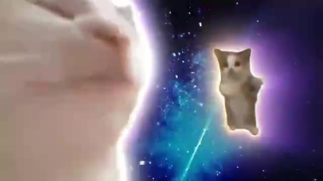 20231109 新电音猫4 绿幕直播特效视频