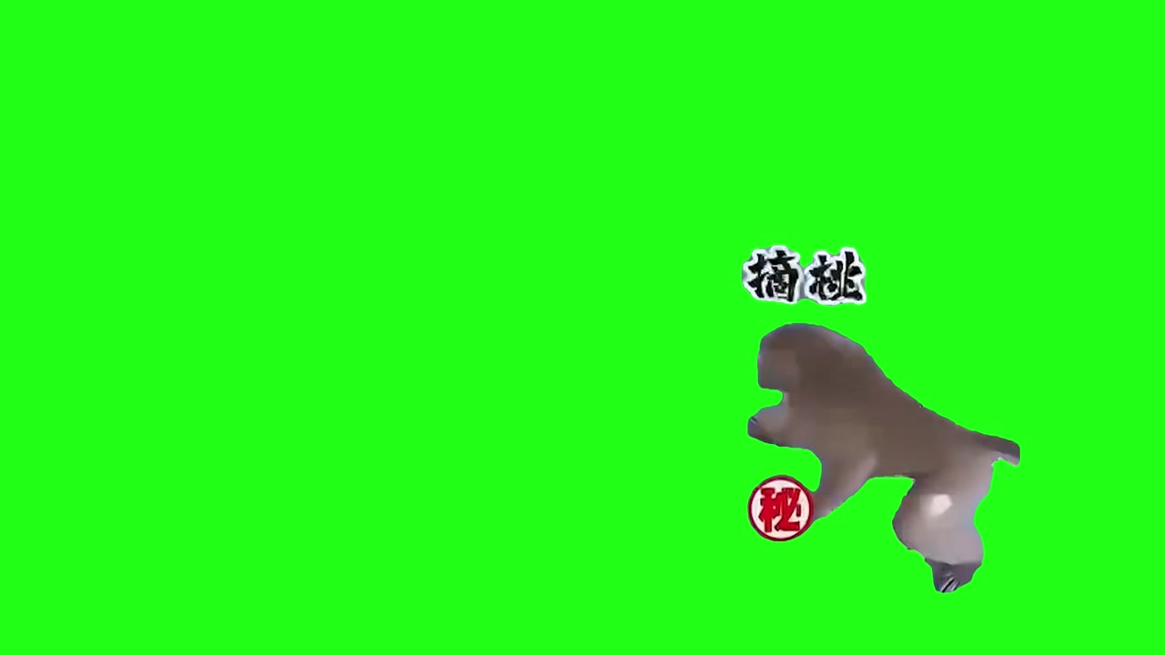 11月11日猴子摘桃最终 绿幕直播特效视频
