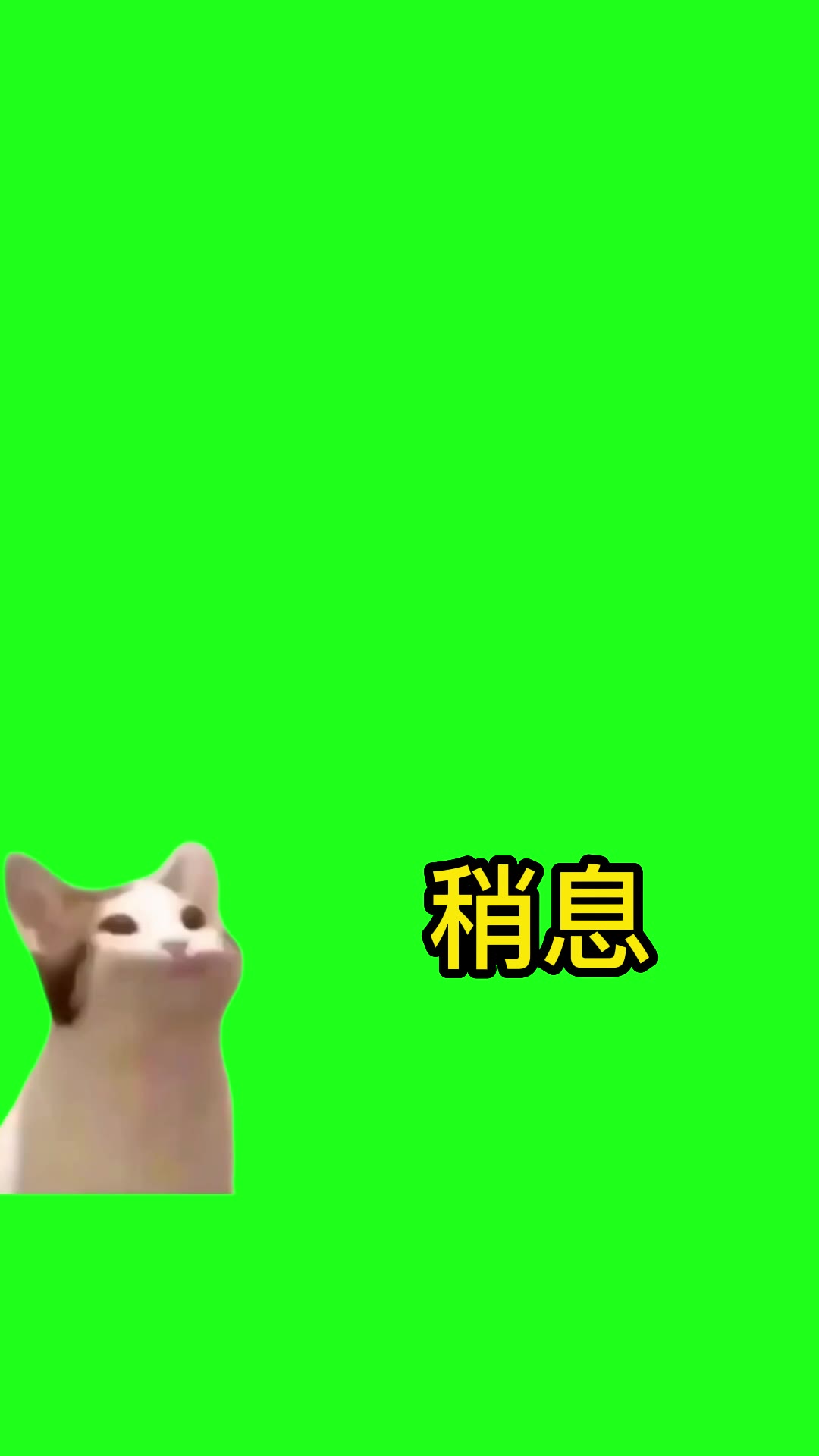 12月9日-稍息最终1 绿幕直播特效视频