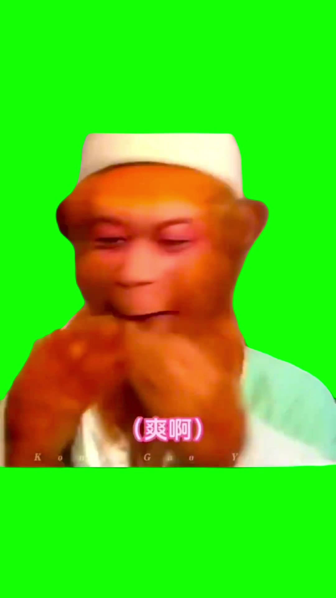 孙悟空系列3 爽啊3秒 绿幕直播特效视频