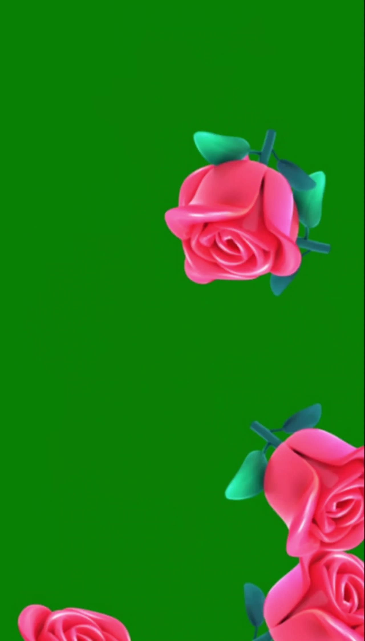 玫瑰花11 绿幕直播特效视频