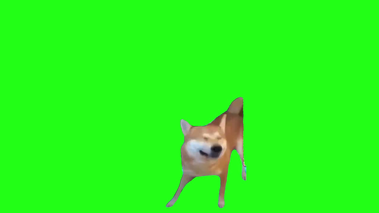 狗子打喷嚏 绿幕直播特效视频