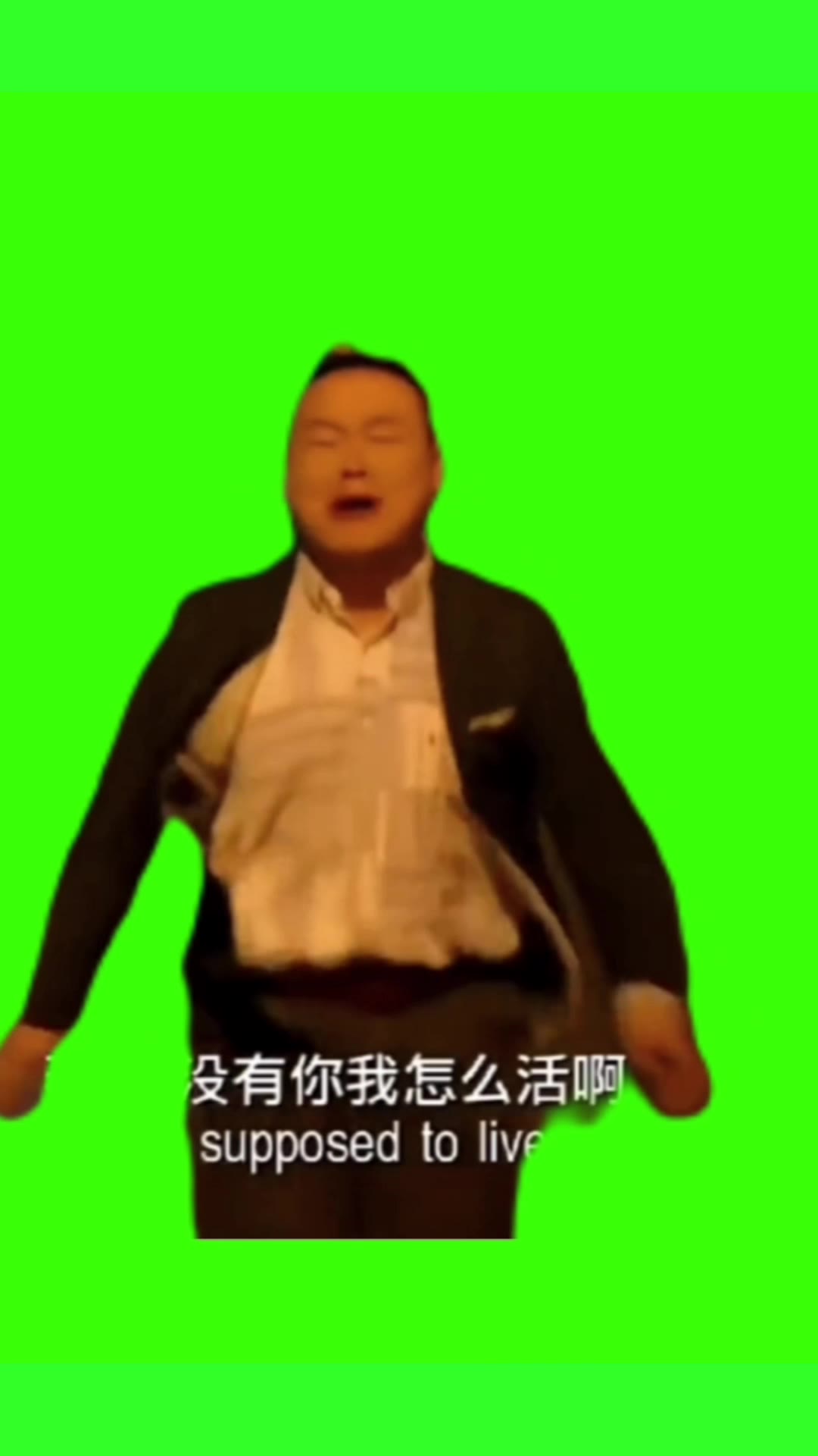 燕子没有你我怎么活 3秒 绿幕直播特效视频