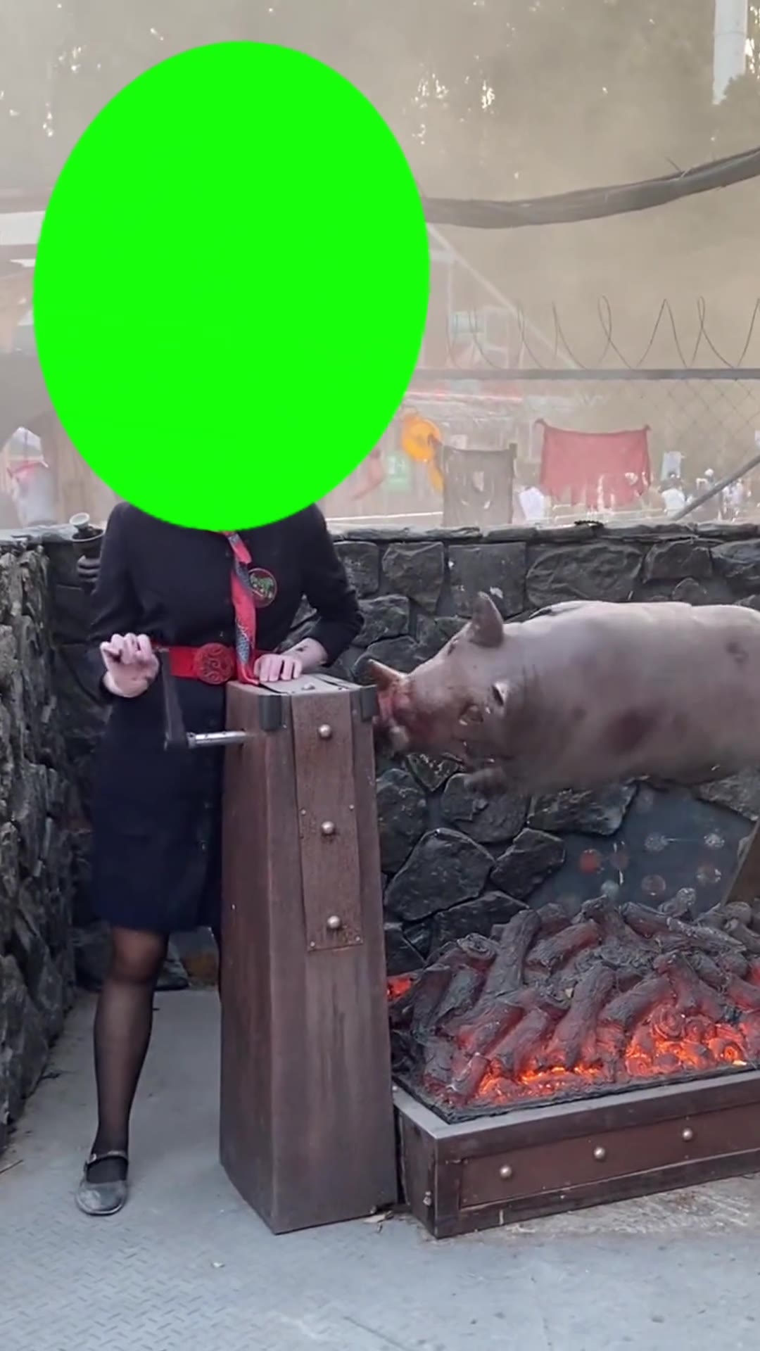 生小猪 烤公猪 9秒 绿幕直播特效视频