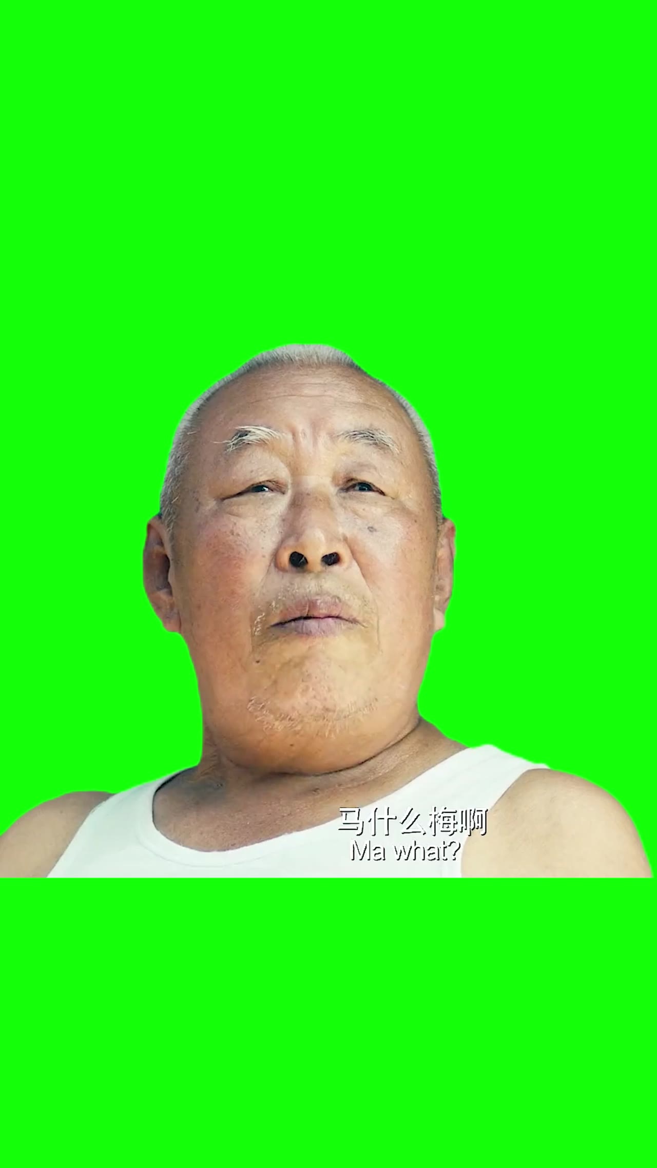 马冬梅竖屏 绿幕直播特效视频