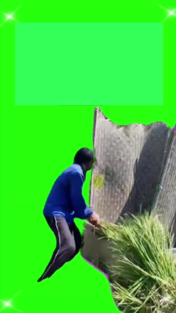 打稻谷 绿幕直播特效视频
